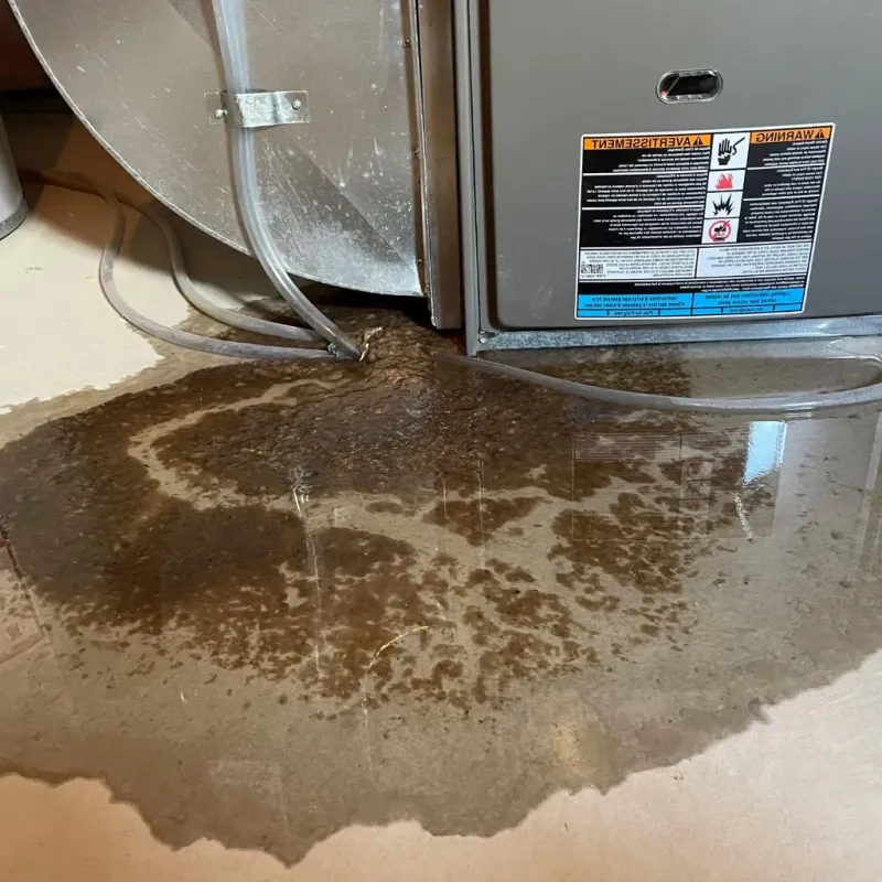 Pipe Burst and Leak Restoration in Fonda, NY